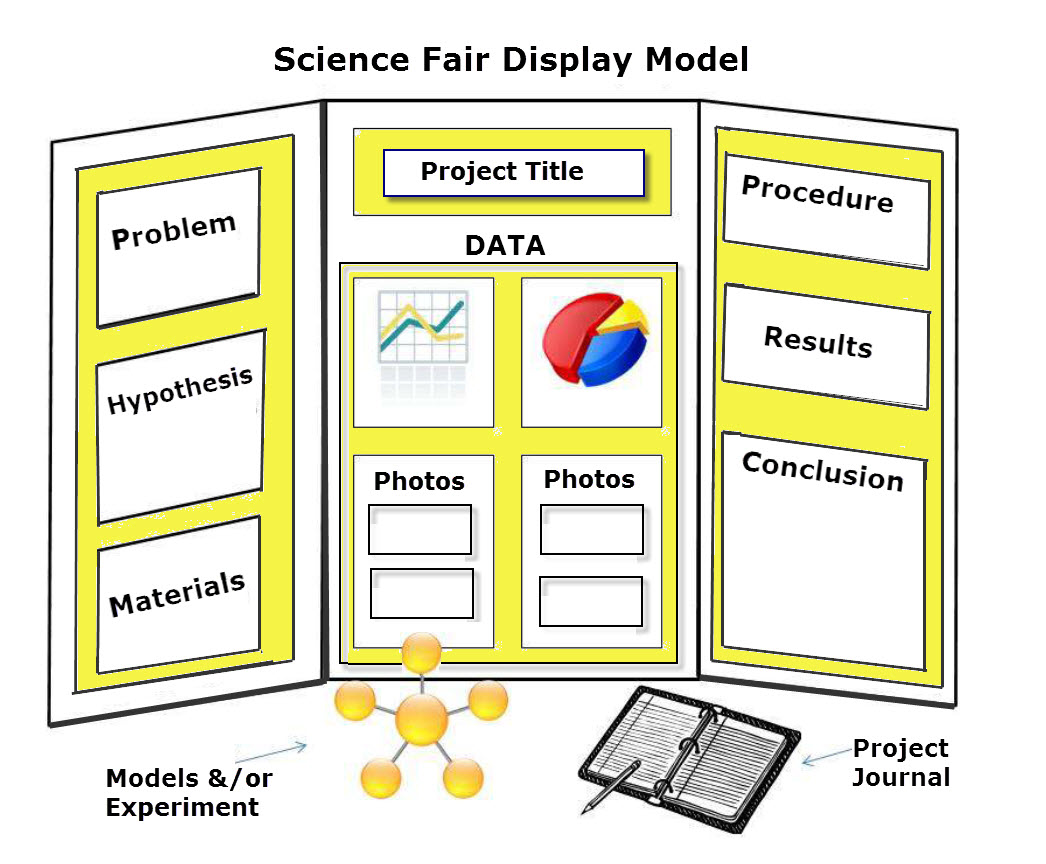 science fair poster board setup